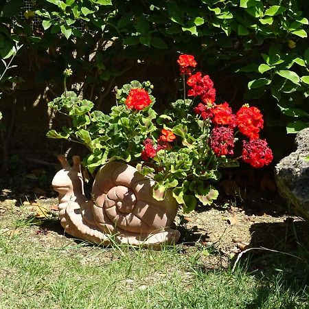 B&B La Dolce Vita Marsiliana Bagian luar foto