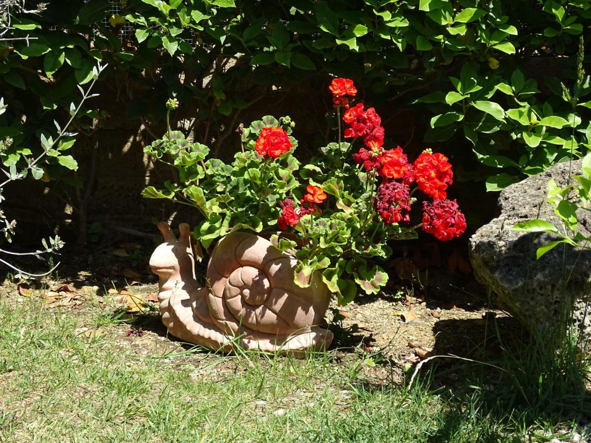 B&B La Dolce Vita Marsiliana Bagian luar foto