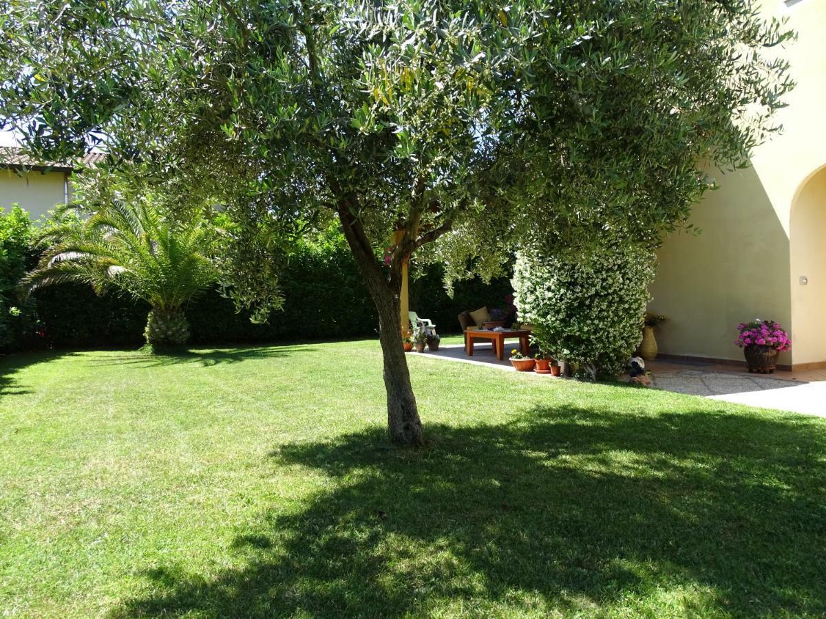 B&B La Dolce Vita Marsiliana Bagian luar foto