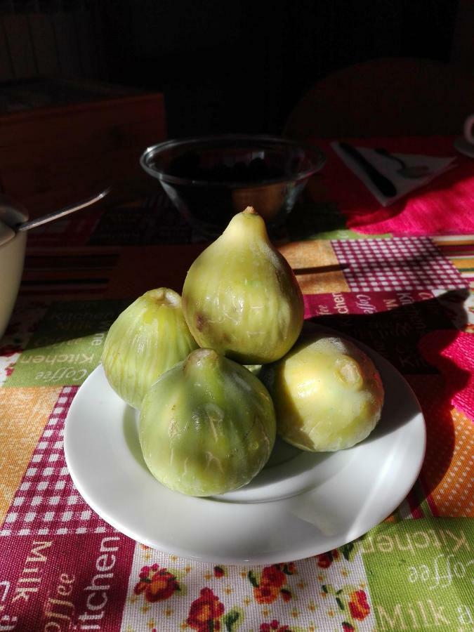 B&B La Dolce Vita Marsiliana Bagian luar foto